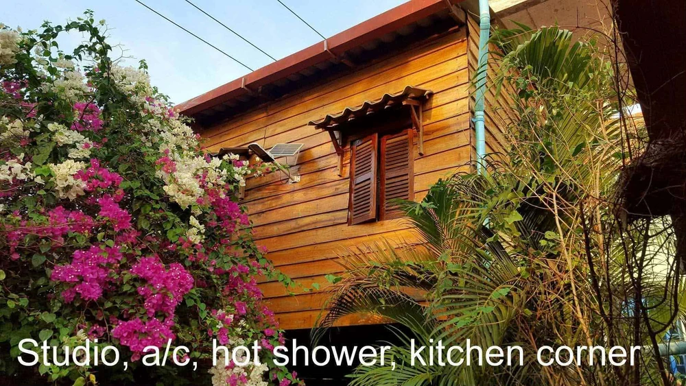 House 8