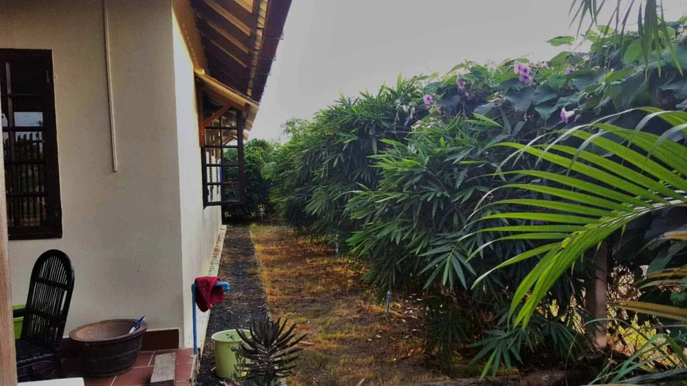 House 9